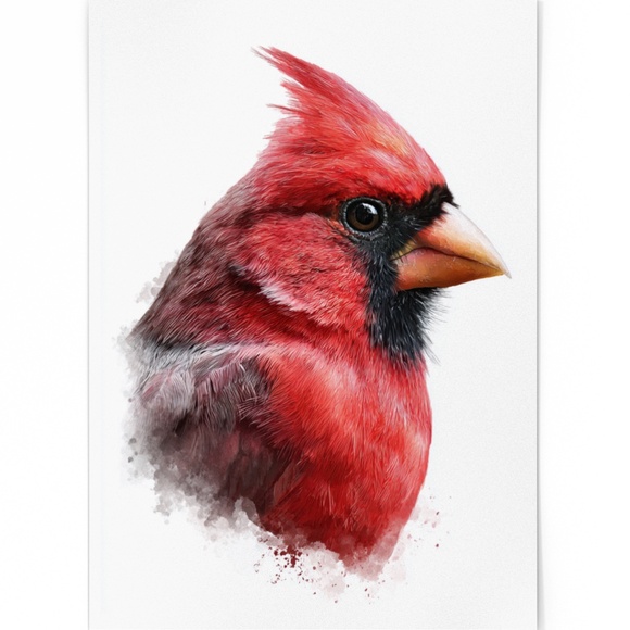 Watercolor Red Cardinal Bird Portrait Wall Art Print Unframed - Picture 2 of 6